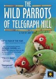Wild Parrots of Telegraph Hill DVD
