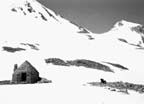 Muir Hut