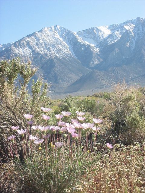 Alabama Hills